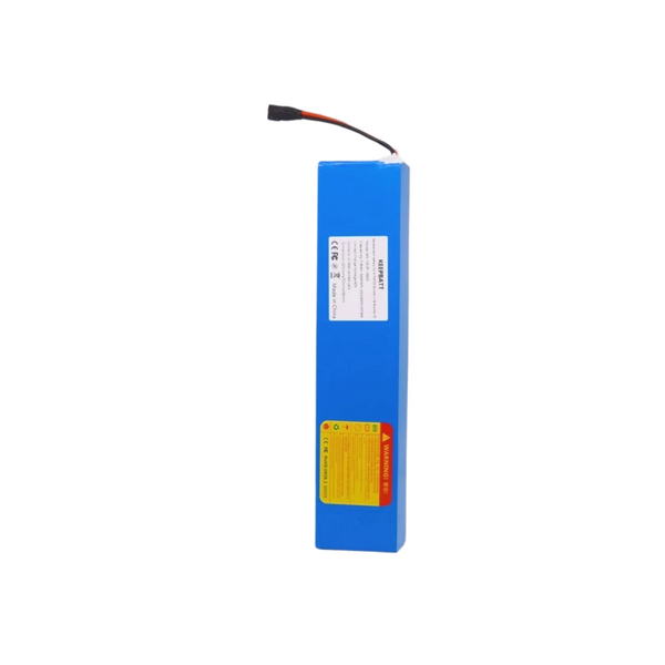 36V 10.5Ah Batterie für E-TWOW Booster V Booster ES E-Scooter