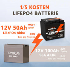 12V 50AH LiFePO4 Akku Wiederaufladbare Batterie Mit BMS Für Camping Wohnmobil Boot