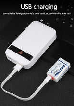 9V 650mAh BESTON Hochwertiger USB-Li-Ionen-Lithium-Akku für Multimeter und elektronische Instrumente