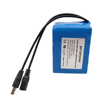 18650 Li-Ionen Akku 12.6 V 10000 mAh mit BMS Circuit Protection Board DC 5,5 * 2,1 mm Notstromversorgung